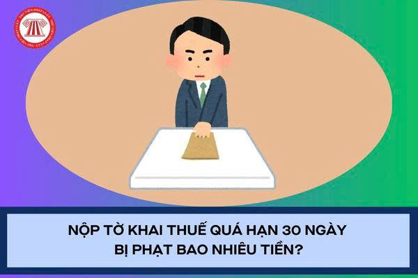 Pháp luật