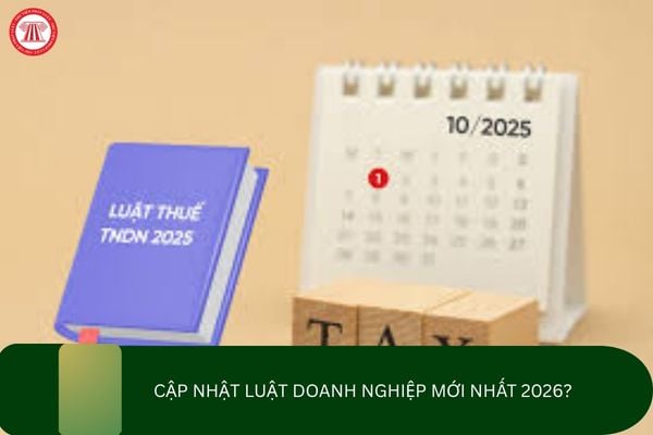 Pháp luật