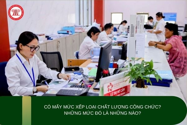 Có mấy mức xếp loại chất lượng công chức? Những mức đó là những nào?