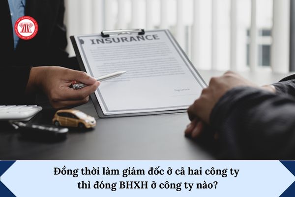Pháp luật