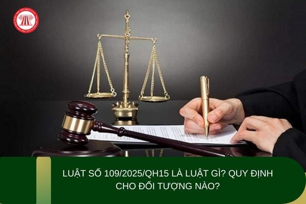 Pháp luật