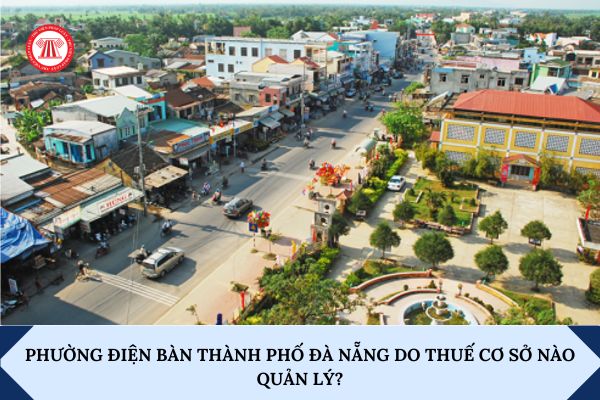 Pháp luật