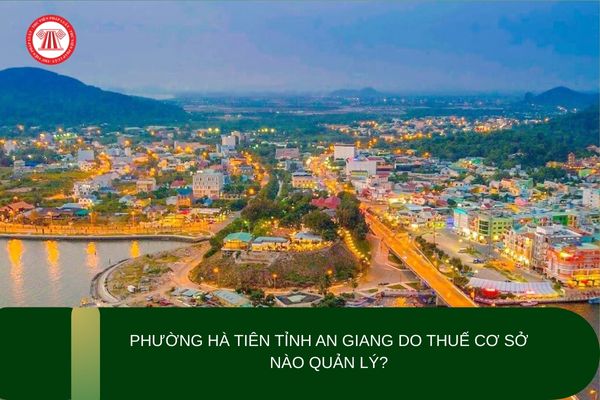 Pháp luật