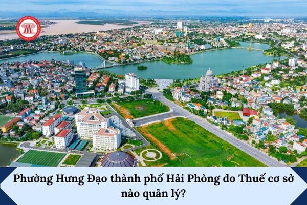Pháp luật