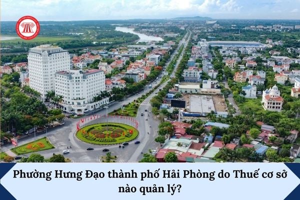 Pháp luật