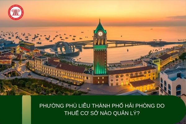 Phường Phù Liễu thành phố Hải Phòng do Thuế cơ sở nào quản lý?
