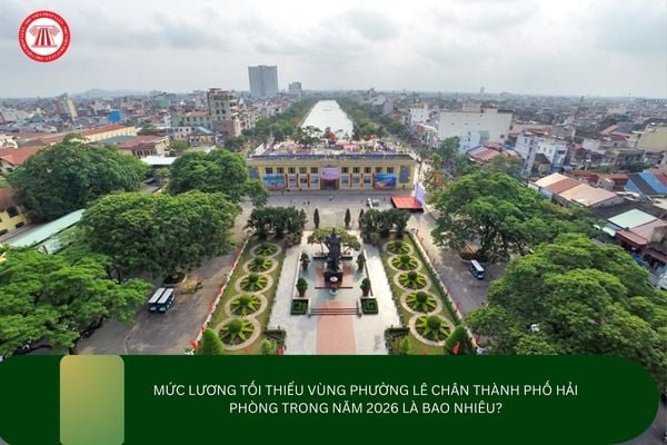 Pháp luật