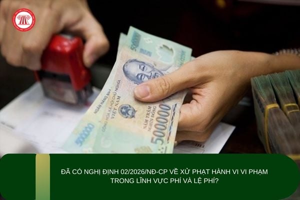 Pháp luật