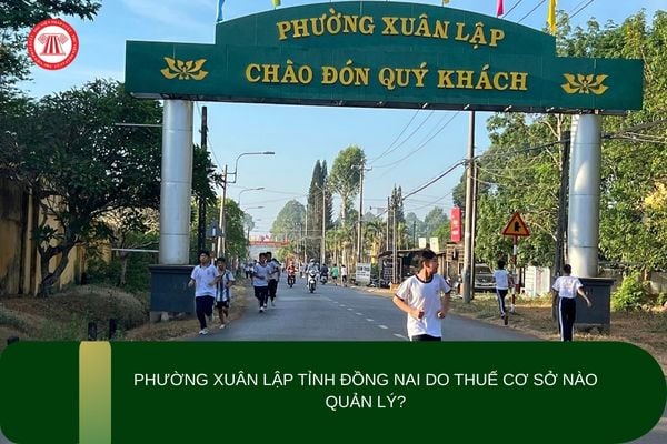 Pháp luật