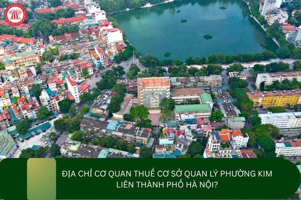 Địa chỉ cơ quan Thuế cơ sở quan lý phường Kim Liên thành phố Hà Nội?