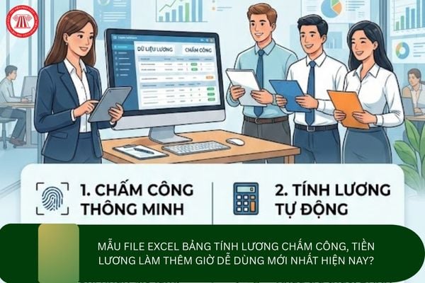 Pháp luật