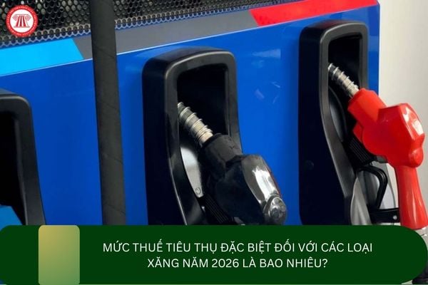 Pháp luật