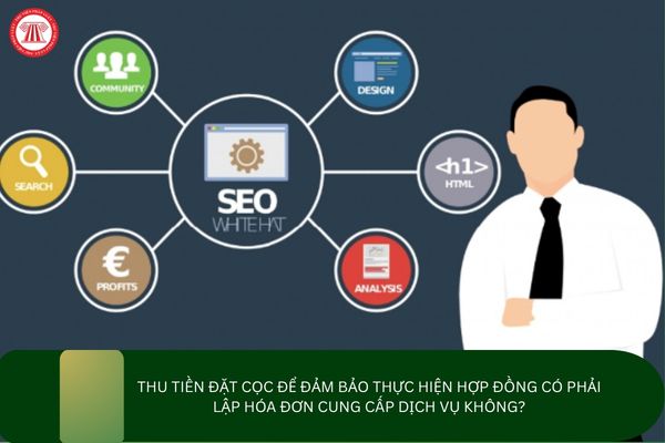 Pháp luật