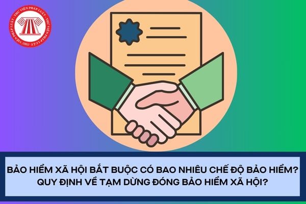 Pháp luật