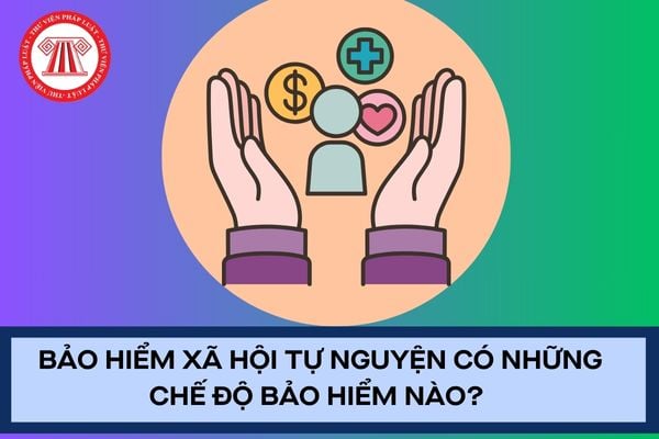 Pháp luật