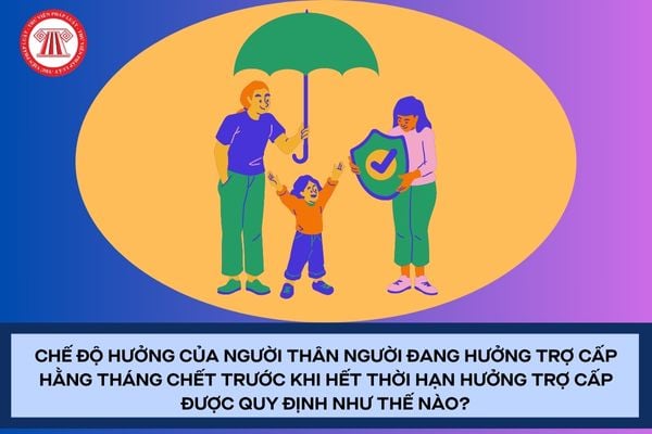Pháp luật