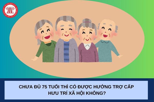 Pháp luật