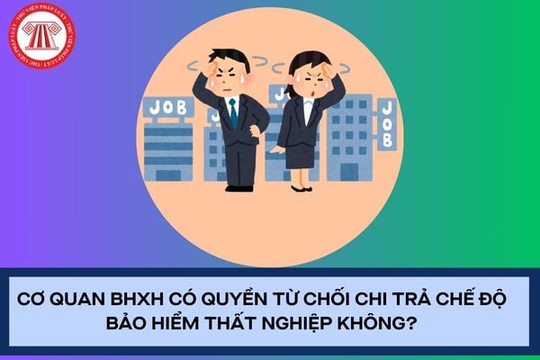 Pháp luật
