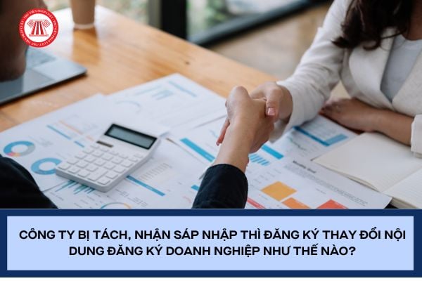 Pháp luật