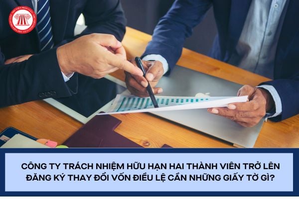 Pháp luật