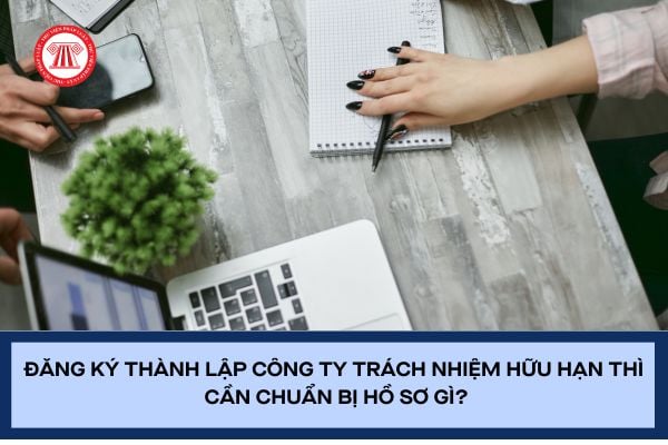 Pháp luật