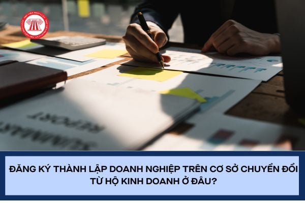 Pháp luật