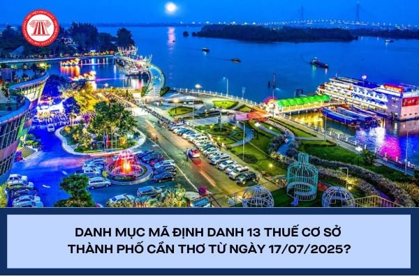 Pháp luật