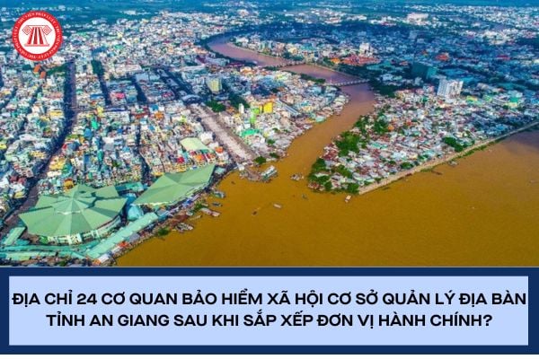 Pháp luật