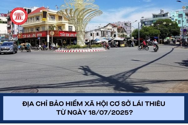 Pháp luật