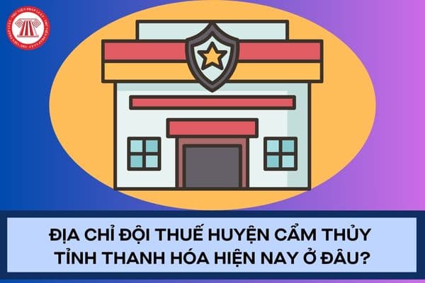 Pháp luật