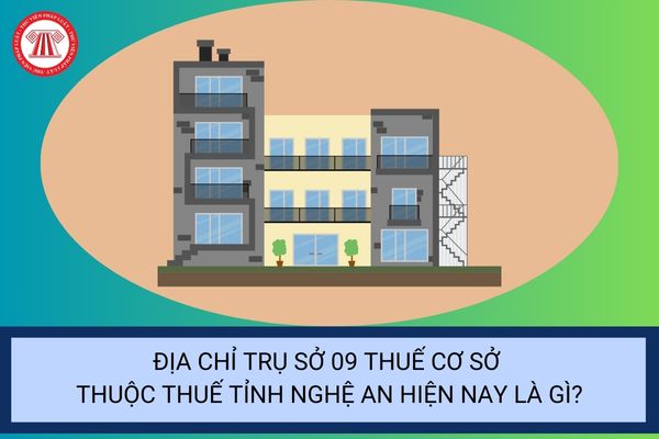Pháp luật