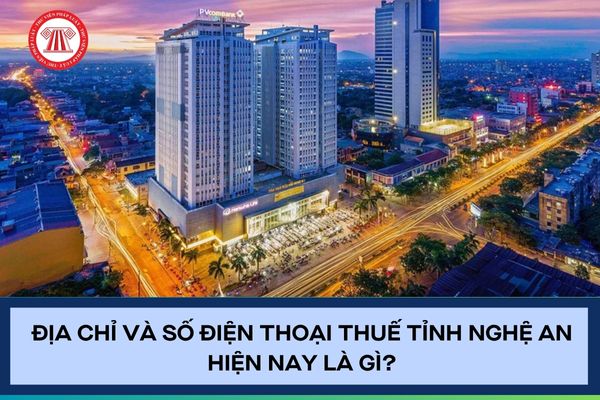 Pháp luật