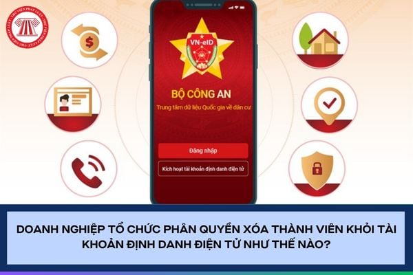 Pháp luật