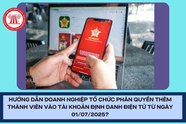 Pháp luật