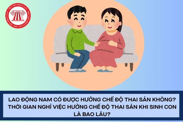 Pháp luật