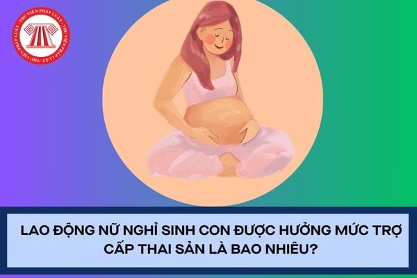 Pháp luật