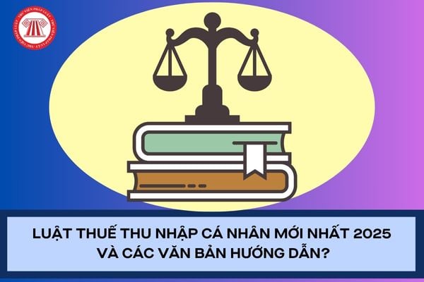 Pháp luật