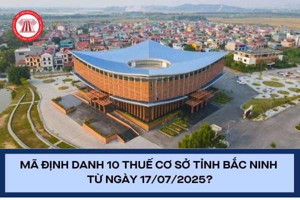 Pháp luật