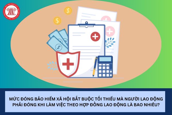 Pháp luật
