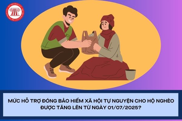 Pháp luật