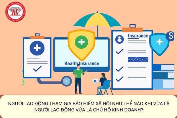 Pháp luật