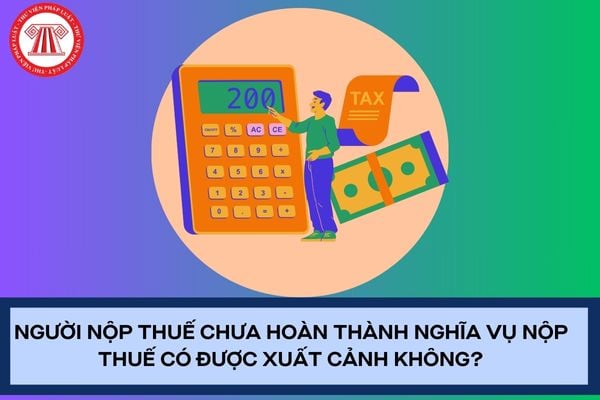 Pháp luật