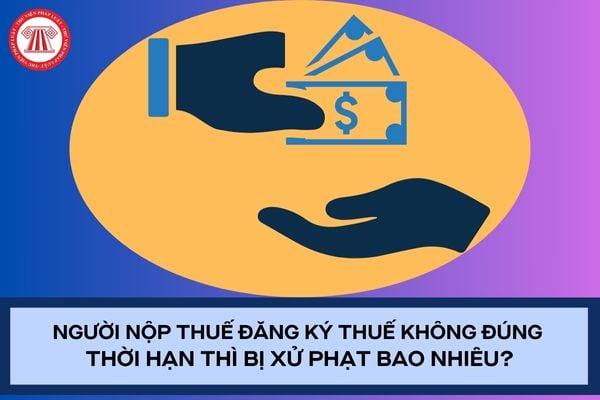 Pháp luật