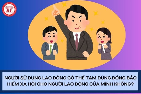 Pháp luật