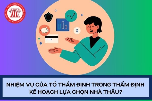 Pháp luật