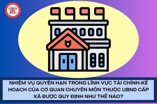 Pháp luật