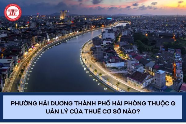 Pháp luật