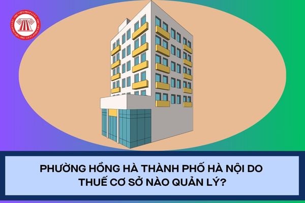 Pháp luật