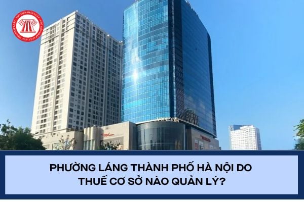 Pháp luật