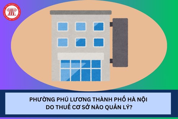 Pháp luật